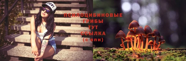 бошки Алексин