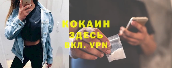 бошки Алексин
