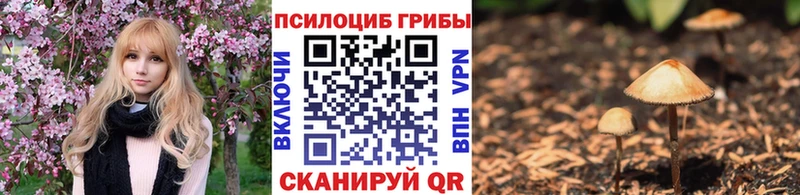 Псилоцибиновые грибы Magic Shrooms  это как зайти  Алупка 
